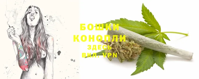 Шишки марихуана SATIVA & INDICA  кракен ССЫЛКА  Новороссийск 